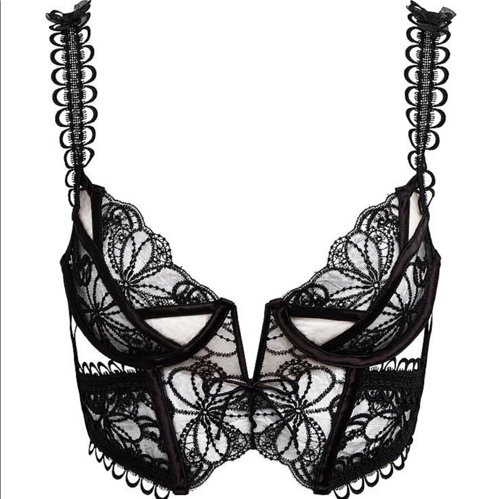 FOR LOVE & LEMONS Swirly Floral Embroidered Bustier - Picture 11 of 13